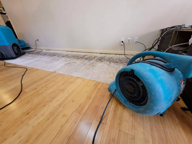Professional Sewage Cleanup technician working in Bapchule, AZ